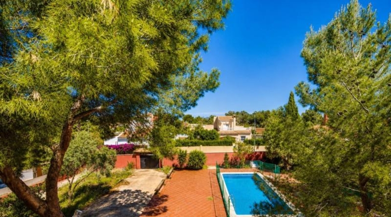 Alicante - San Miguel de Salinas - 1250m2