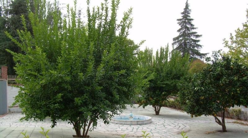 Granada - Albolote - 280m2