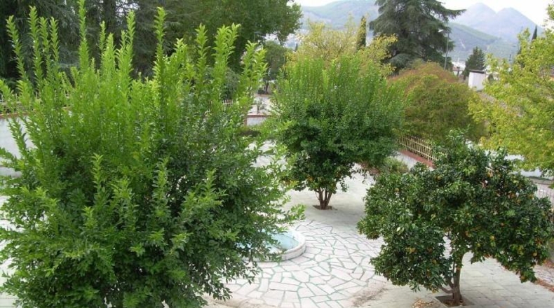Granada - Albolote - 280m2