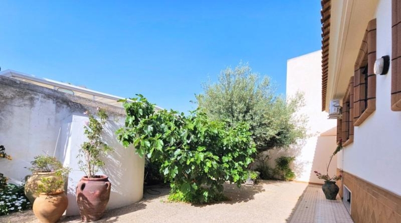 Murcia - San Pedro del Pinatar - 519m2