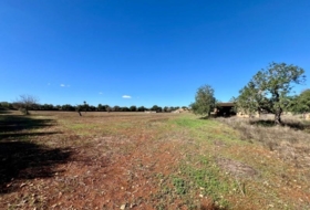 Campos 17810&nbsp;m²