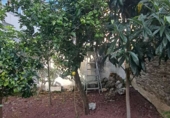 Дом с участком на продажу в городе Sada. Фото