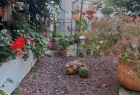 Foto 10