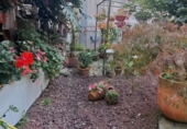 Дом с участком на продажу в городе Sada. Фото