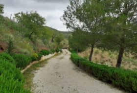 Foto 14