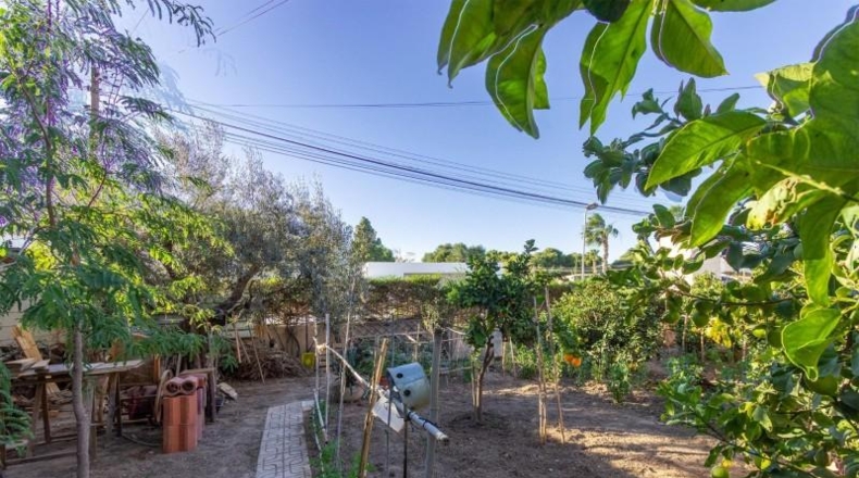 Аликанте - Torrevieja - 859m2