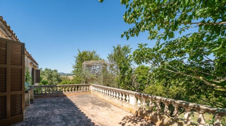 Balearic Islands - Sant Joan - 15932m2