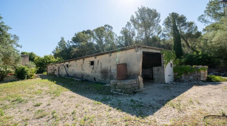 Balearic Islands - Sant Joan - 15932m2