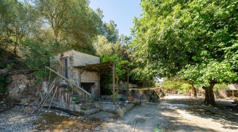 Balearic Islands - Sant Joan - 15932m2