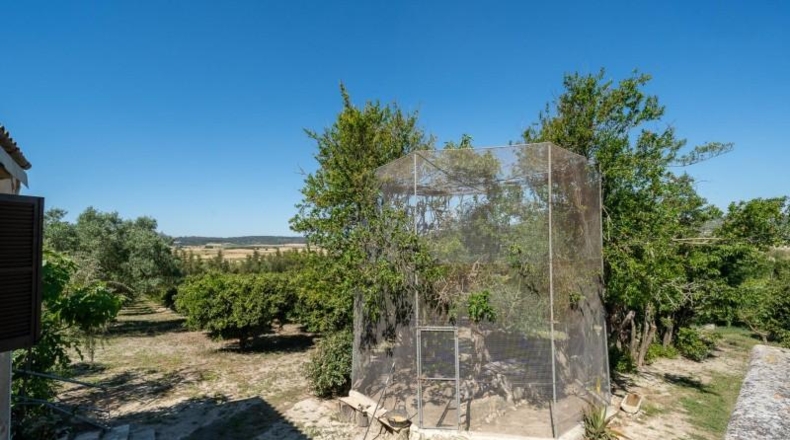 Balearic Islands - Sant Joan - 15932m2