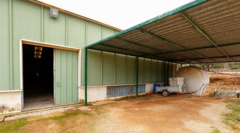 Comunidad de Madrid - Madrid - 10000m2