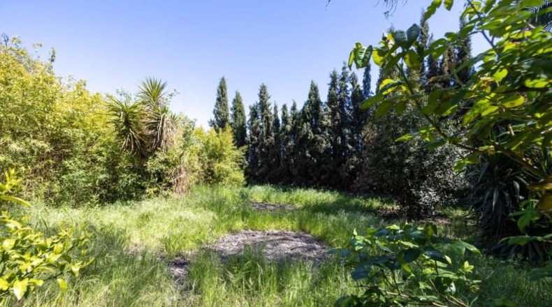 Granada - Granada - 29000m2