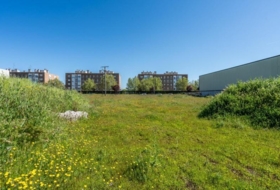Foto 13