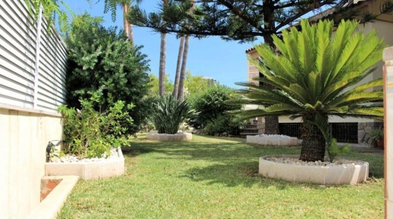 Castellon - Benicàssim - 375m2