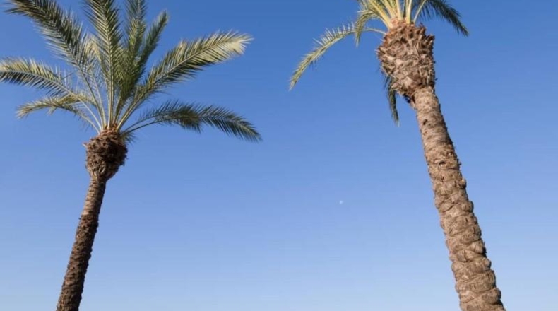 Castellon - Benicàssim - 375m2