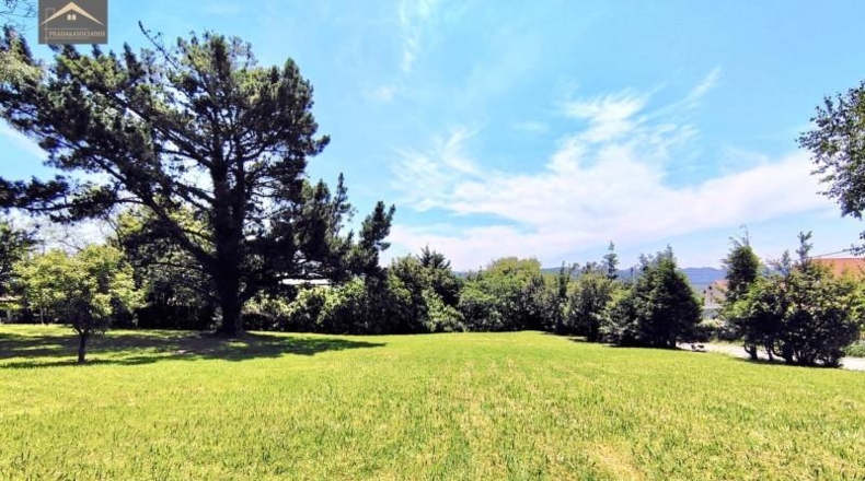Castellón - Almenara - 4300m2