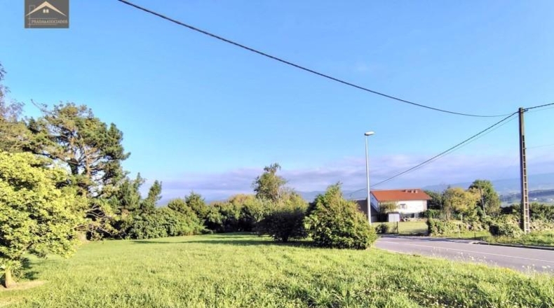 Castellón - Almenara - 4300m2
