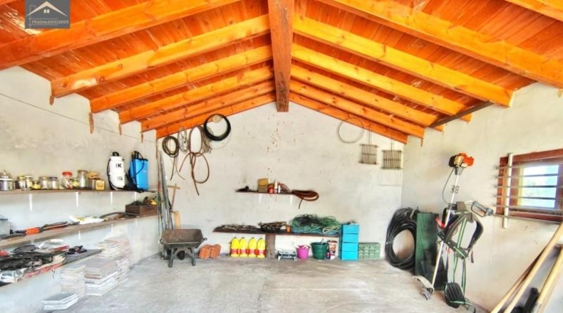 Castellón - Almenara - 4300m2