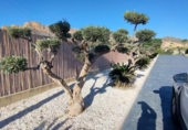 Xalet independent amb terreny en venda a la España, San Juan de los Terreros, ref.: TR220436 foto