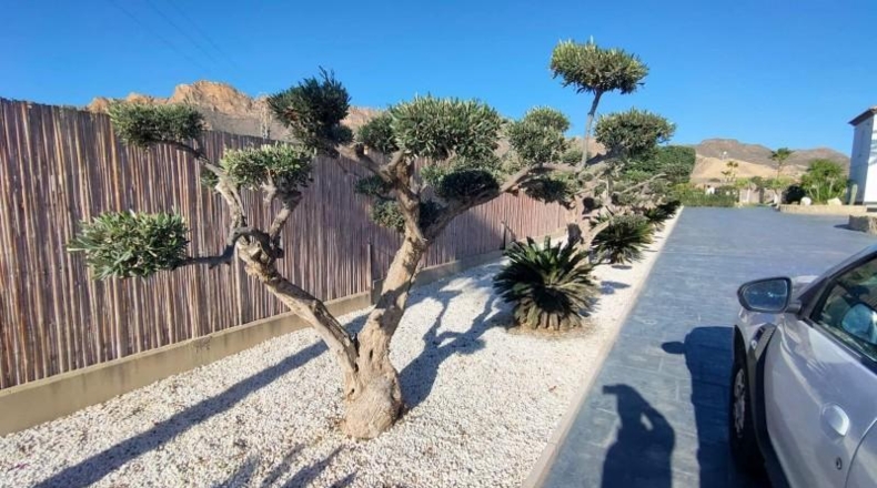 Almeria - San Juan de los Terreros - 3093m2