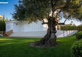 Chalet independiente con terreno en venta en la España, Monforte del Cid, ref: TR177916 foto