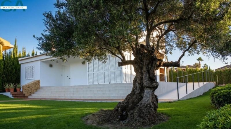 Alicante - Monforte del Cid - 1199m2
