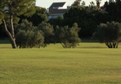 Chalet independiente con terreno en venta en la España, Monforte del Cid, ref: TR177916 foto