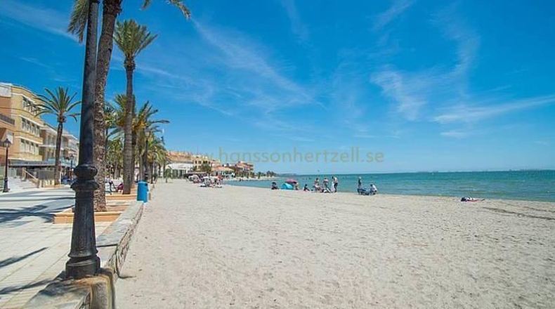 Murcia - Los Alcázares - 410m2