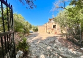 Xalet independent amb terreny en venda a la España, Campos, ref.: TR309766 foto