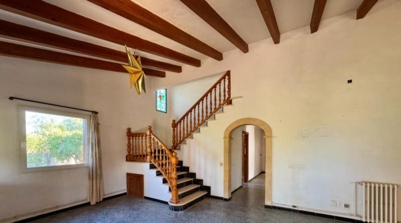 Illes Balears - Campos - 28000m2