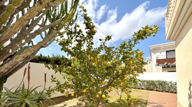 Alicante - Cabo Roig - 491m2