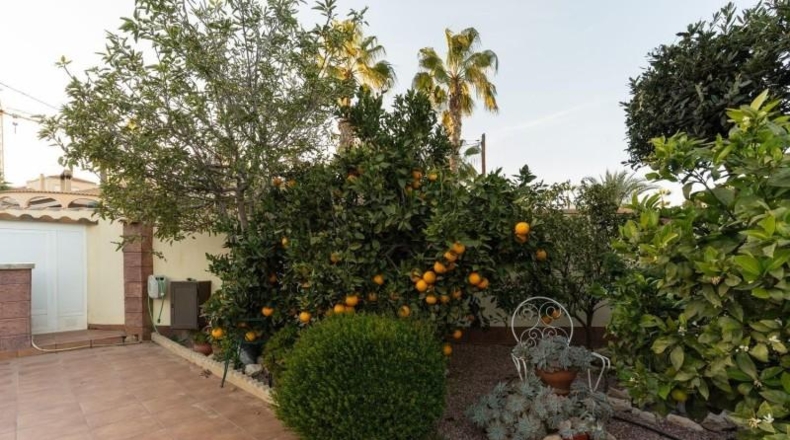 Alicante - Torrevieja - 800m2