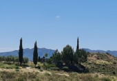 Chalet independiente con terreno en venta en la España, Murcia, ref: TR335262 foto