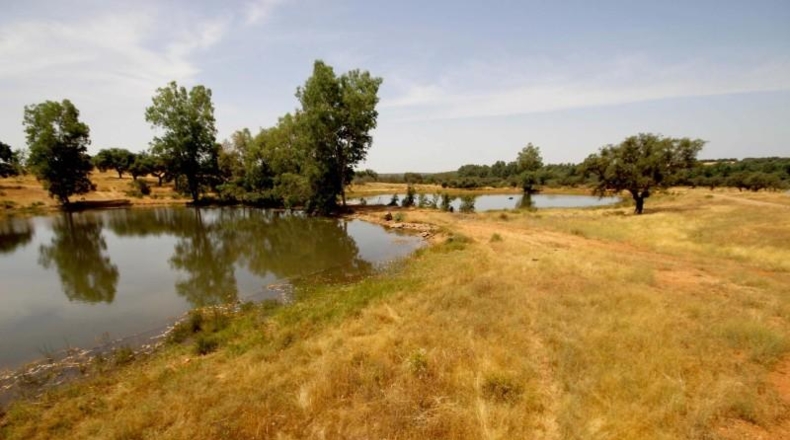 Cáceres - Alcuéscar - 658561m2