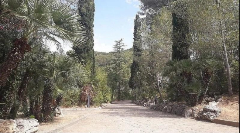 Barcelona - Olivella - 16651m2
