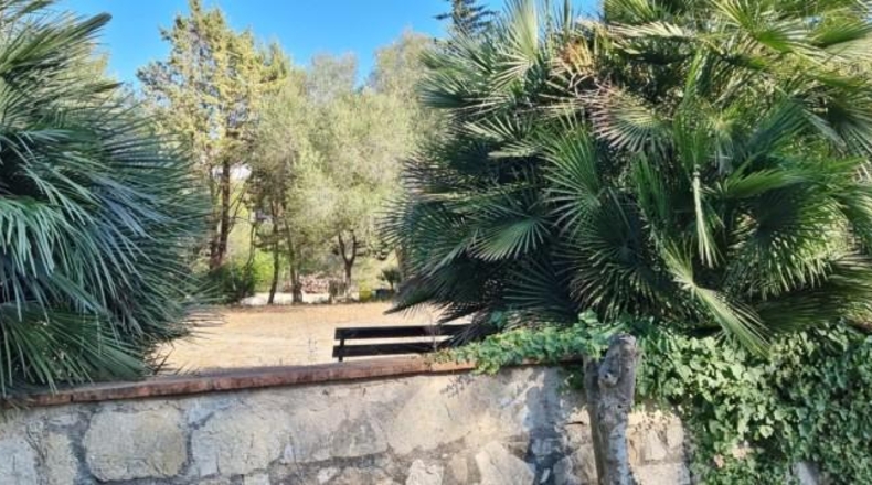 Barcelona - Olivella - 16651m2