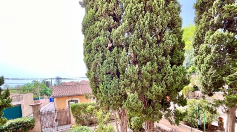 Islas Baleares - Palma - 841m2