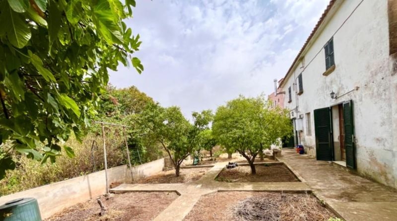 Islas Baleares - Palma - 841m2