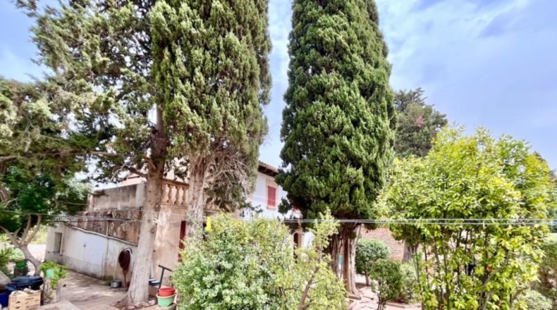 Islas Baleares - Palma - 841m2