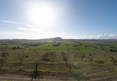 Casa de camp amb terreny en venda a la España, Sineu, ref.: TR384208 foto