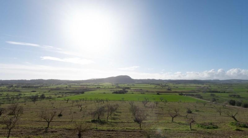 Balearic Islands - Sineu - 145000m2