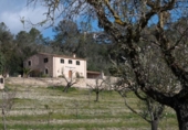 Casa de camp amb terreny en venda a la España, Sineu, ref.: TR384208 foto