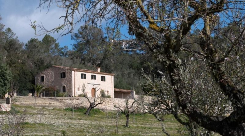 Balearic Islands - Sineu - 145000m2