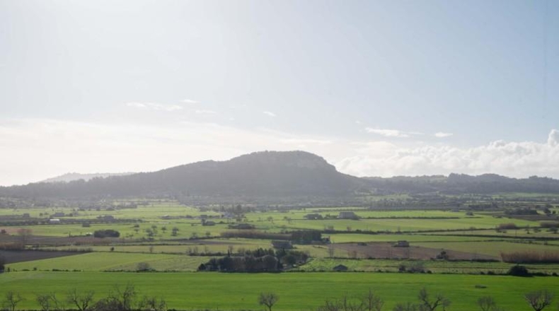 Balearic Islands - Sineu - 145000m2