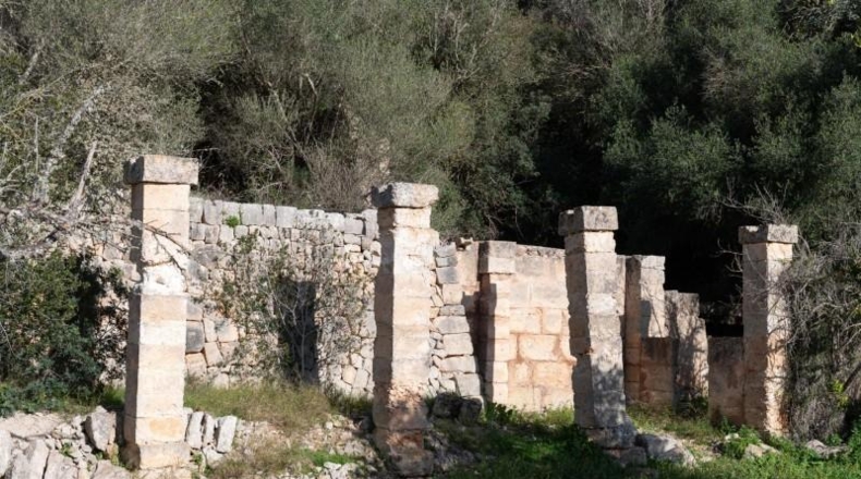 Balearic Islands - Sineu - 145000m2