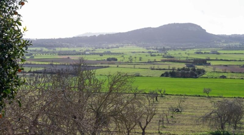 Balearic Islands - Sineu - 145000m2