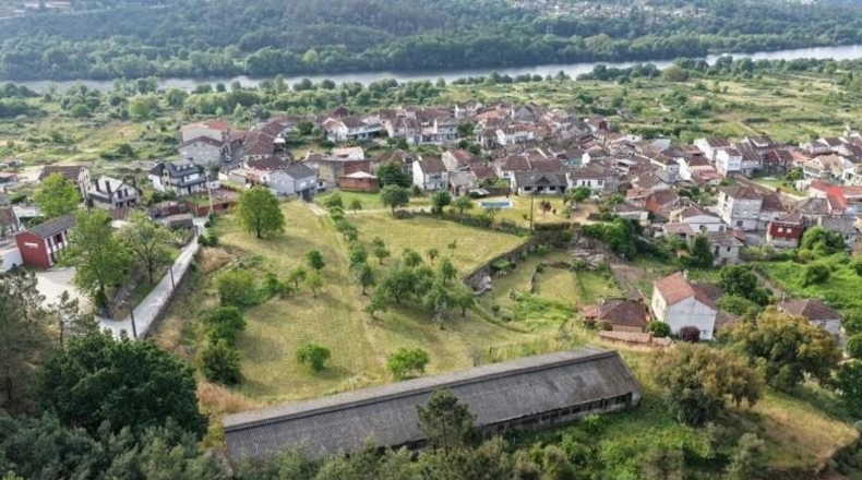 Orense - Ribadavia - 12000m2