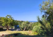 Finca rústica en venda a la España, Marbella, ref.: TR411668 foto