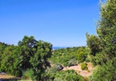 Finca rústica en venda a la España, Marbella, ref.: TR411668 foto