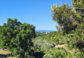 Finca rústica en venda a la España, Marbella, ref.: TR411668 foto